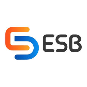 ESB International Certificate